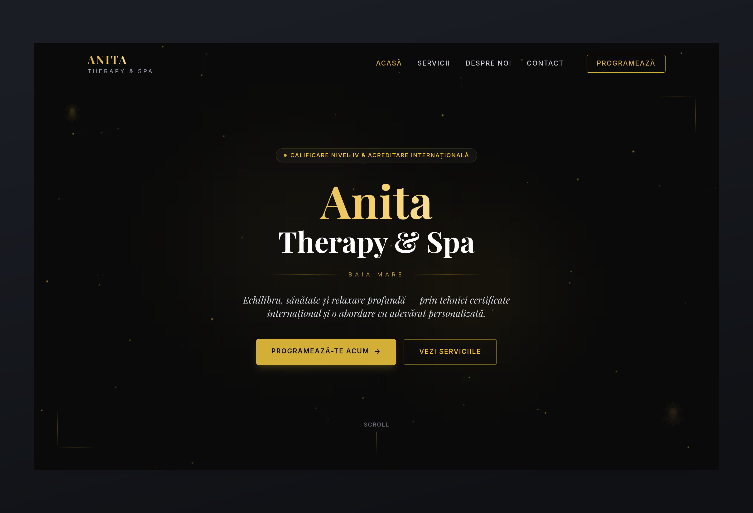 Anita Therapy Spa screenshot
